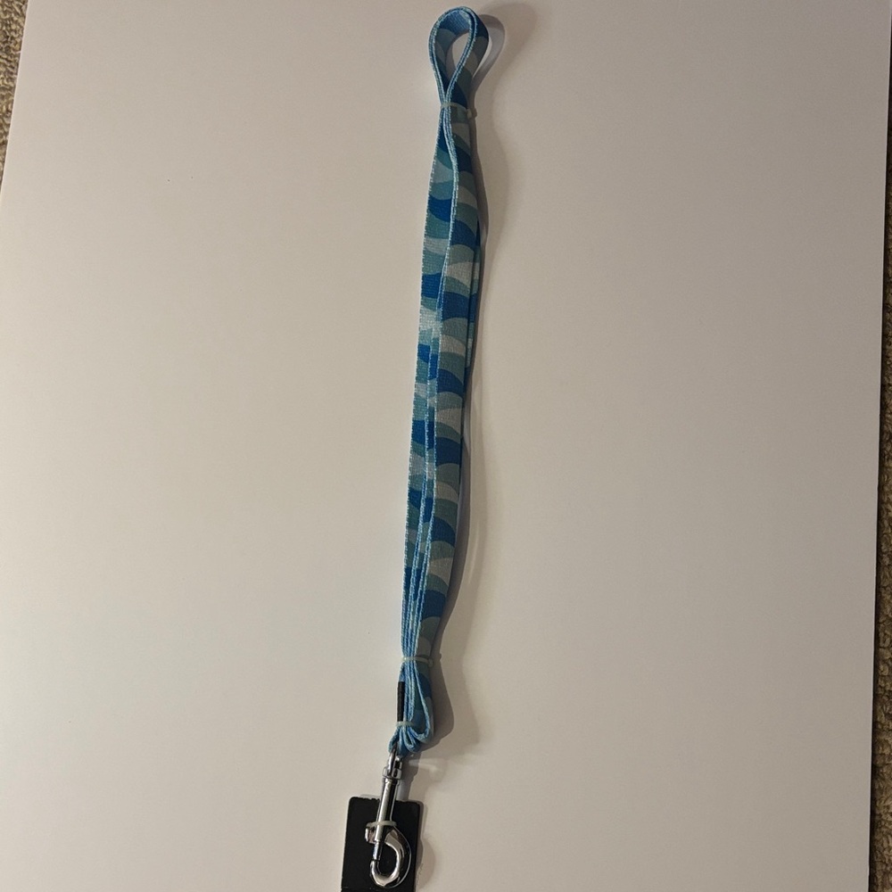 Blue Patterned Dog Leash with Padded Handle